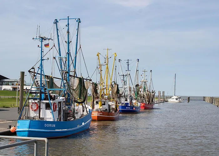 Knechtsand 34 بيت للعطل *